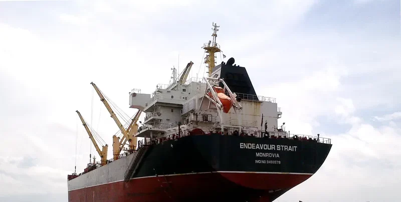 SAFESEA ANYA Bulk Carrier IMO 9488578 photo 7