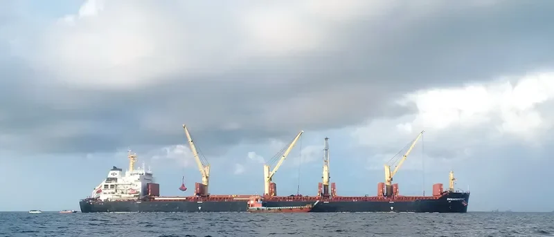 SAFESEA ANYA Bulk Carrier IMO 9488578 photo 9