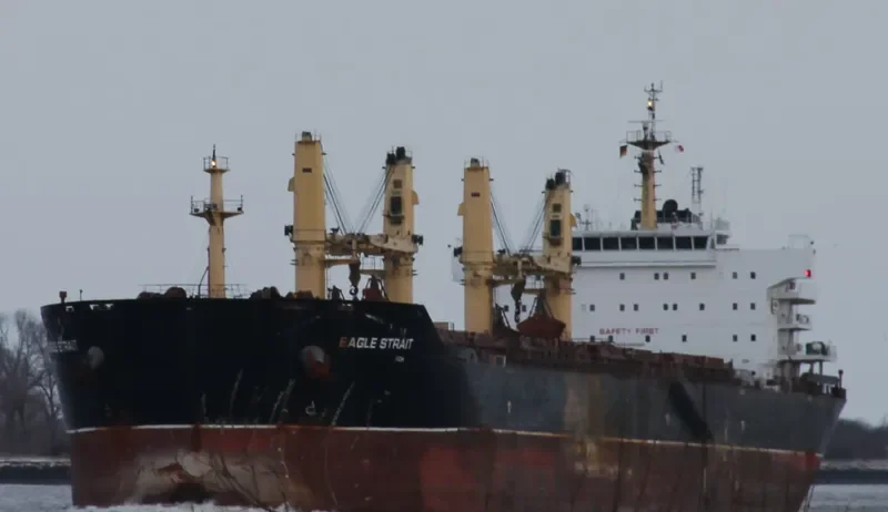 EAGLE STRAIT Bulk Carrier IMO 9488580 photo 2