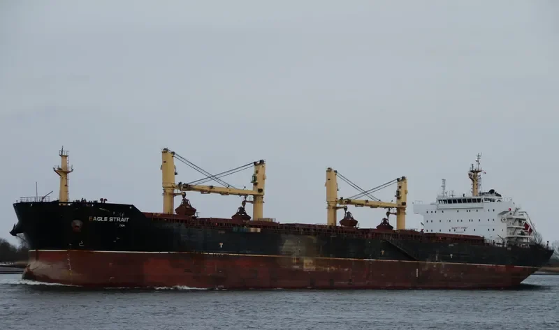 EAGLE STRAIT Bulk Carrier IMO 9488580 photo 3