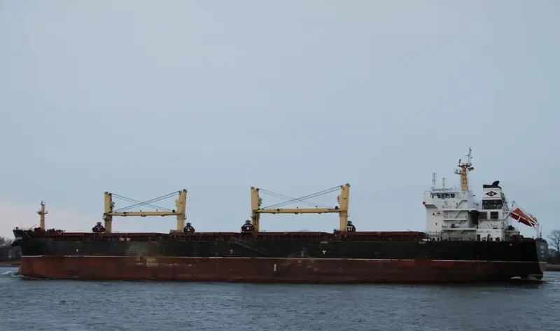 EAGLE STRAIT Bulk Carrier IMO 9488580 photo 4