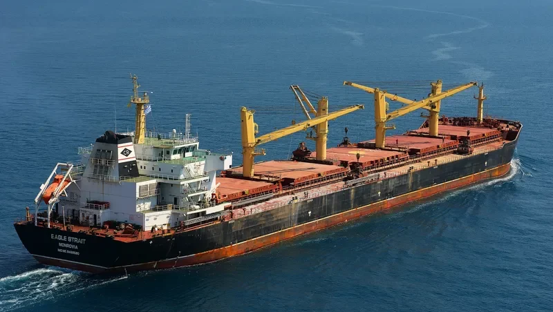EAGLE STRAIT Bulk Carrier IMO 9488580 photo 17