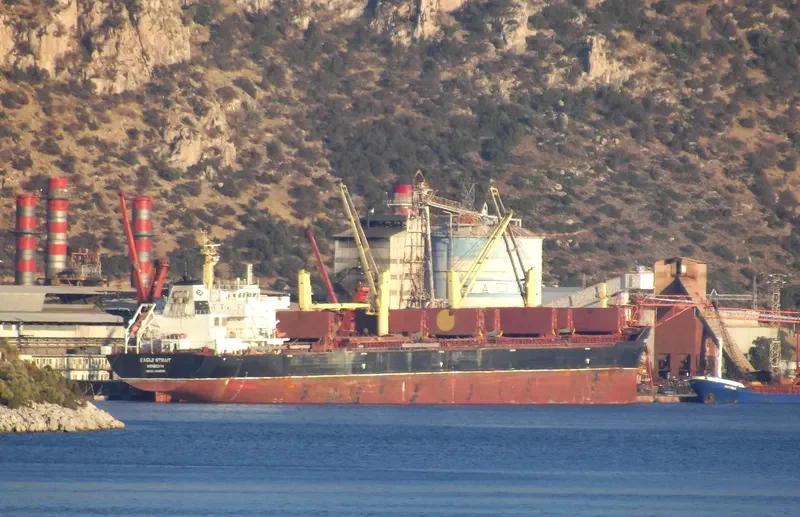 EAGLE STRAIT Bulk Carrier IMO 9488580 photo 24