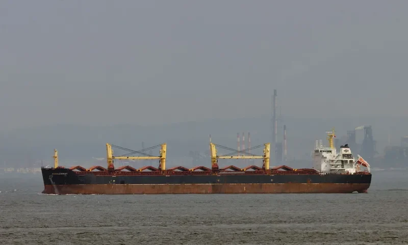 TIAN HE Bulk Carrier IMO 9488592