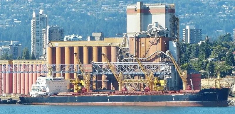 TIAN HE Bulk Carrier IMO 9488592 photo 3