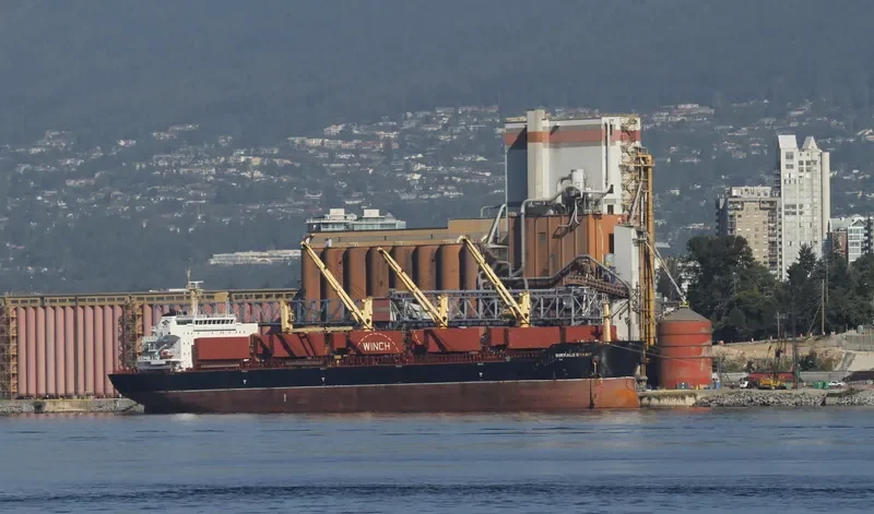 TIAN HE Bulk Carrier IMO 9488592 photo 4