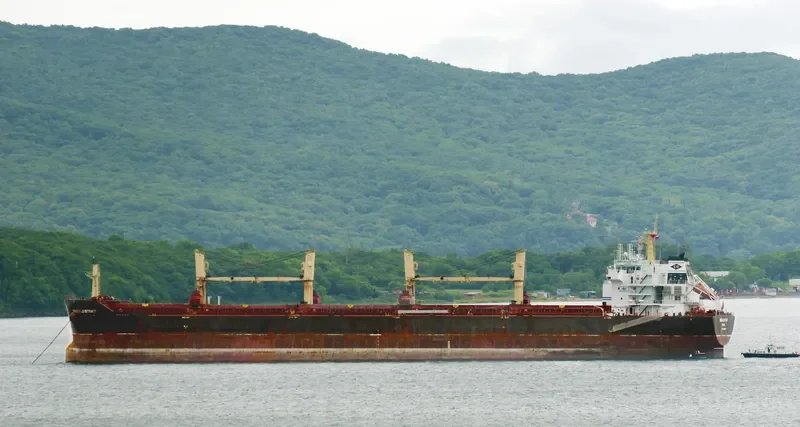 TIAN HE Bulk Carrier IMO 9488592 photo 8