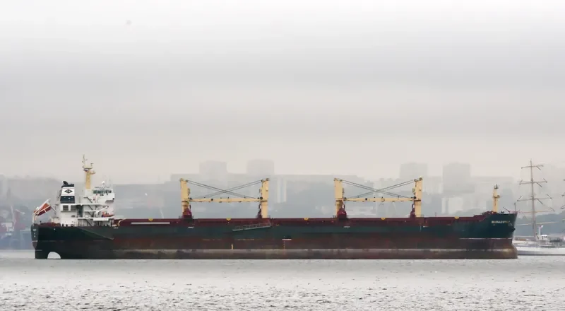 TIAN HE Bulk Carrier IMO 9488592 photo 9