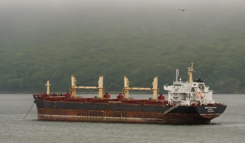 TIAN HE Bulk Carrier IMO 9488592 photo 10