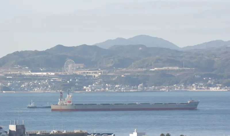 BERGE BINTUMANI Bulk Carrier IMO 9488657 photo 8
