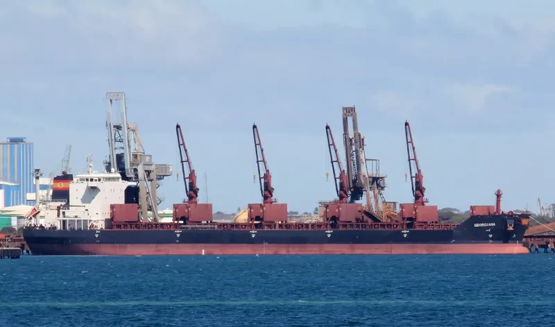VAN BONITA Bulk Carrier IMO 9488798 photo 4