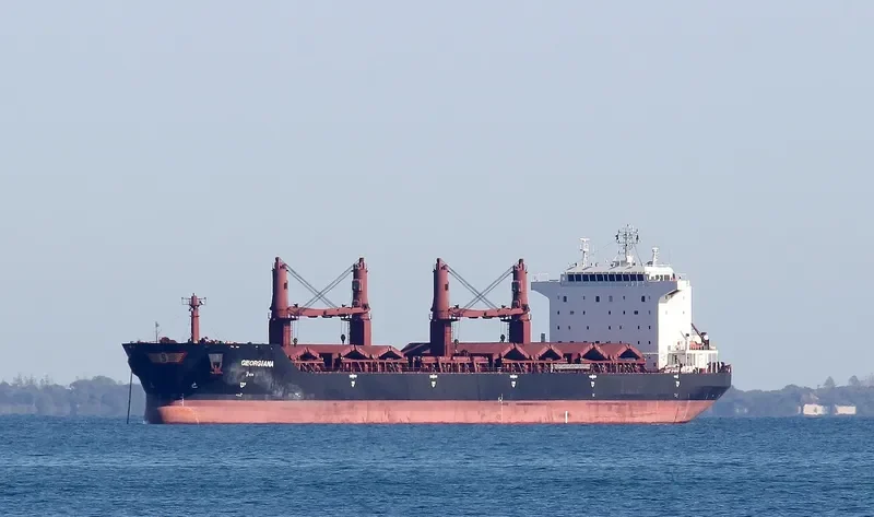 VAN BONITA Bulk Carrier IMO 9488798 photo 5