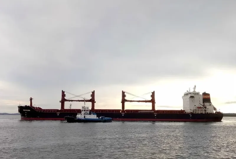 VAN BONITA Bulk Carrier IMO 9488798 photo 7