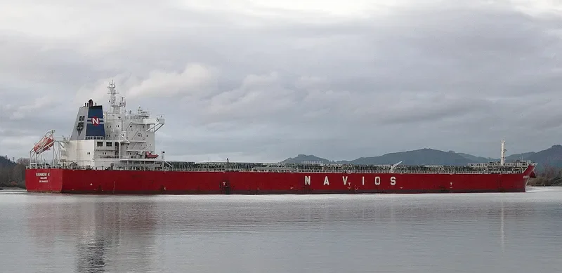 RAINBOW N Bulk Carrier IMO 9488803