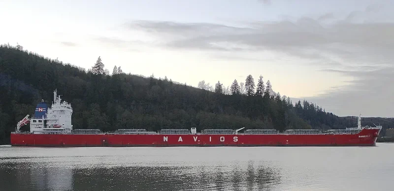 RAINBOW N Bulk Carrier IMO 9488803 photo 2