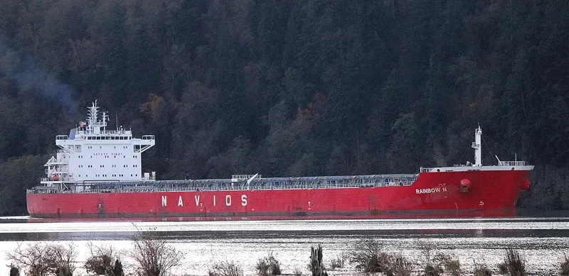 RAINBOW N Bulk Carrier IMO 9488803 photo 3