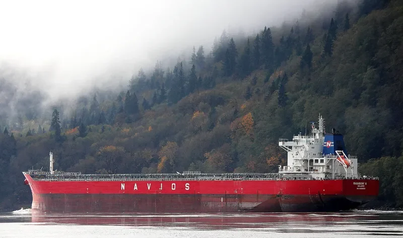 RAINBOW N Bulk Carrier IMO 9488803 photo 4