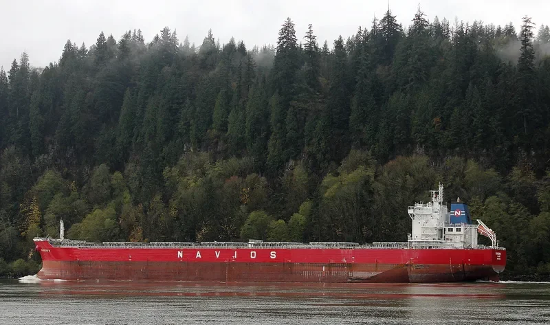 RAINBOW N Bulk Carrier IMO 9488803 photo 5