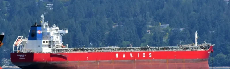 RAINBOW N Bulk Carrier IMO 9488803 photo 6