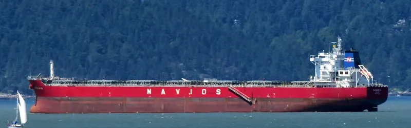 RAINBOW N Bulk Carrier IMO 9488803 photo 7
