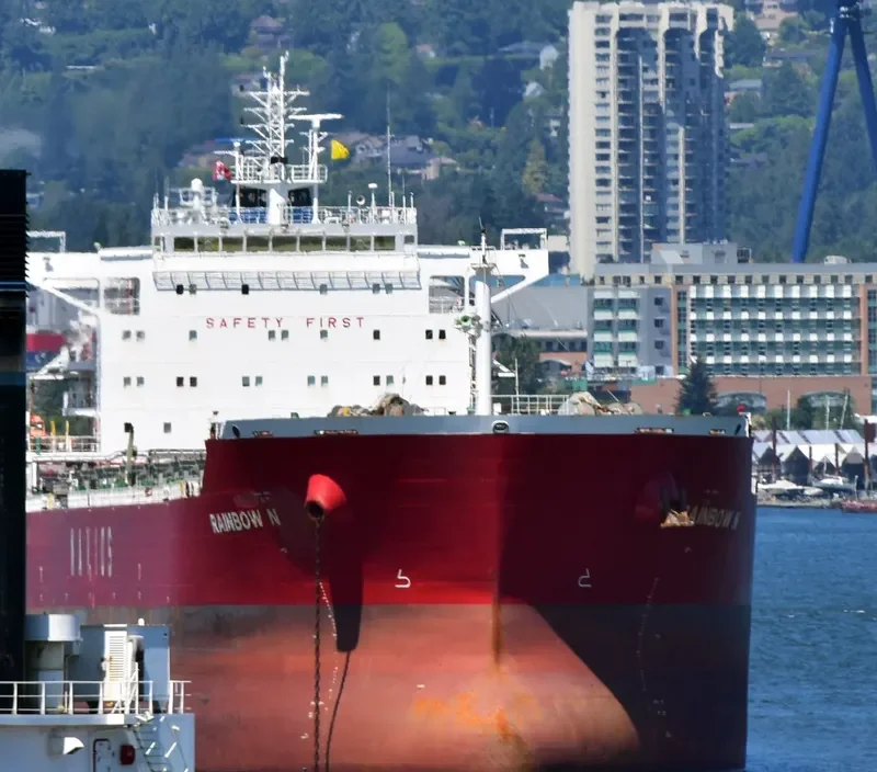 RAINBOW N Bulk Carrier IMO 9488803 photo 8