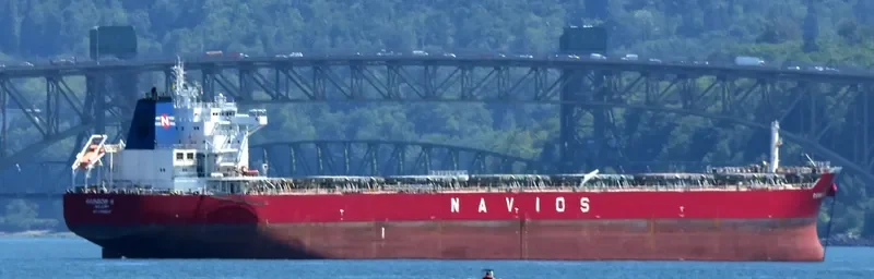 RAINBOW N Bulk Carrier IMO 9488803 photo 9
