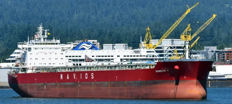 RAINBOW N Bulk Carrier IMO 9488803 photo 10
