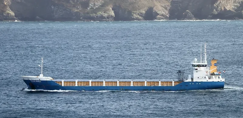 FILIA ARIEA General Cargo IMO 9488815 photo 7
