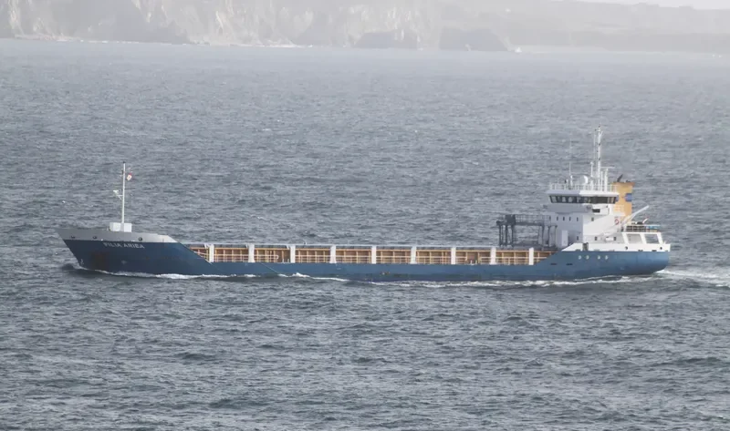 FILIA ARIEA General Cargo IMO 9488815 photo 10