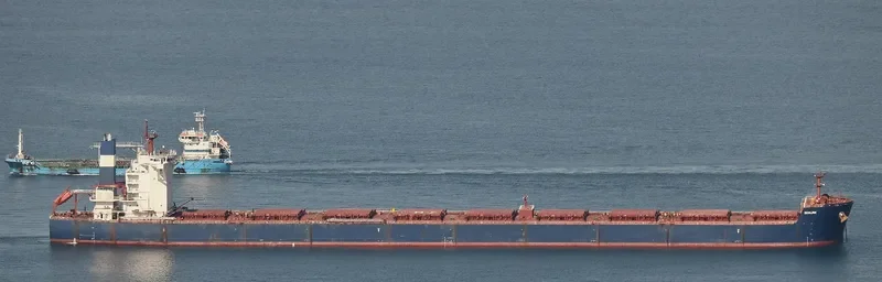 SEALINK Bulk Carrier IMO 9488853