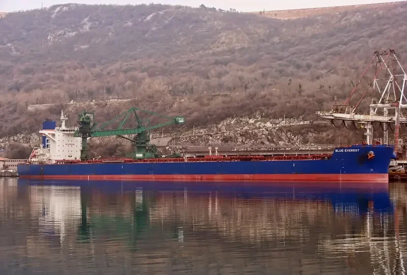 SEALINK Bulk Carrier IMO 9488853 photo 5