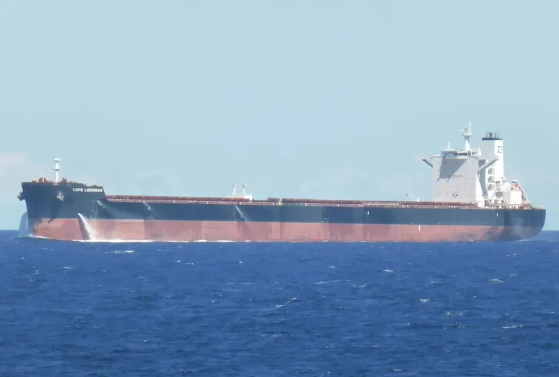 EPIC Bulk Carrier IMO 9488865 photo 3