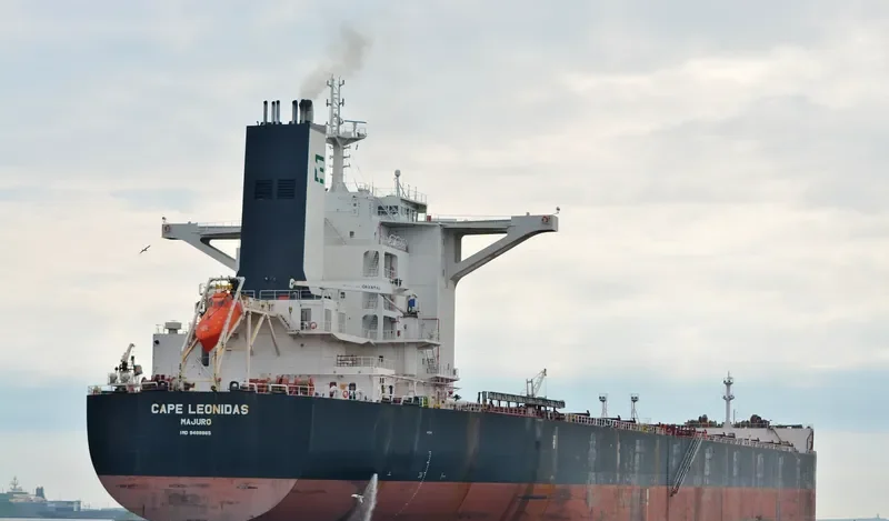 EPIC Bulk Carrier IMO 9488865 photo 5