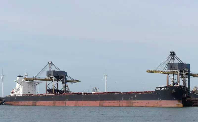 EPIC Bulk Carrier IMO 9488865 photo 6