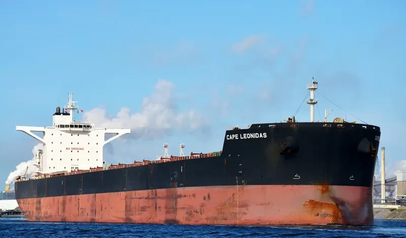 EPIC Bulk Carrier IMO 9488865 photo 8