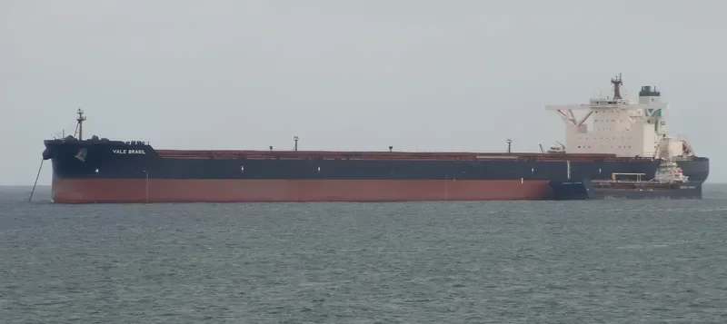 ORE BRASIL Bulk Carrier IMO 9488918 photo 3