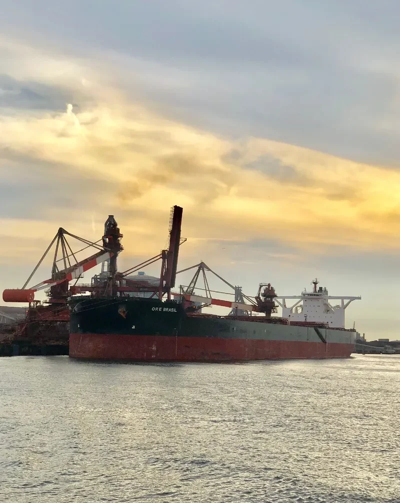 ORE BRASIL Bulk Carrier IMO 9488918 photo 7