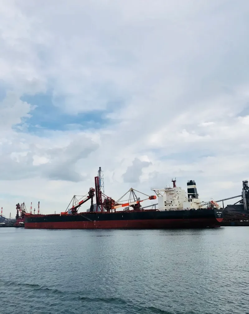 ORE BRASIL Bulk Carrier IMO 9488918 photo 8