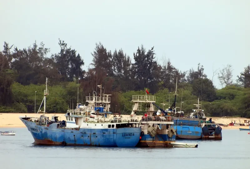 DEMERSAL 1 General Cargo IMO 9488920