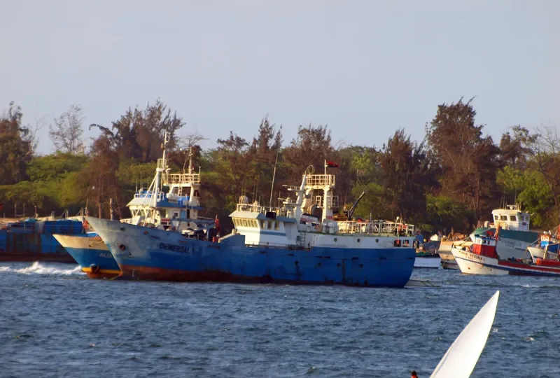 DEMERSAL 1 General Cargo IMO 9488920 photo 2