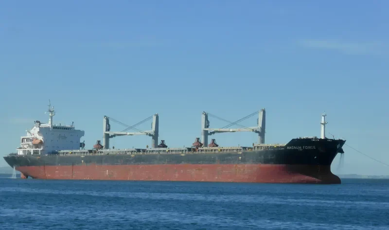 MAGNUM FORCE Bulk Carrier IMO 9488956