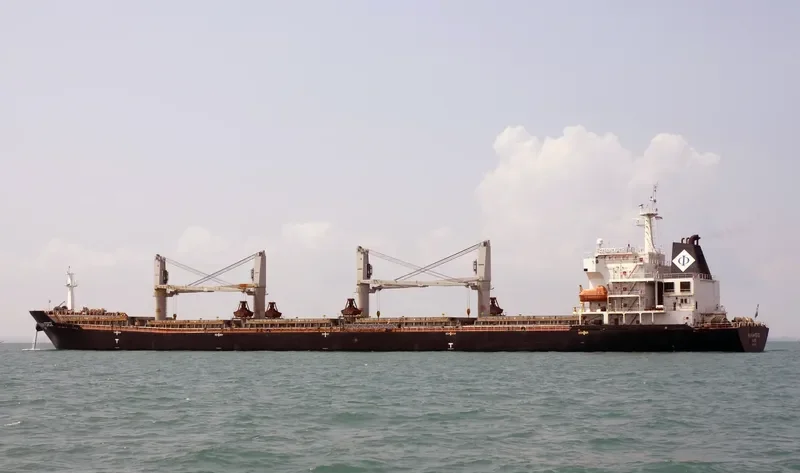 MAGNUM FORCE Bulk Carrier IMO 9488956 photo 2