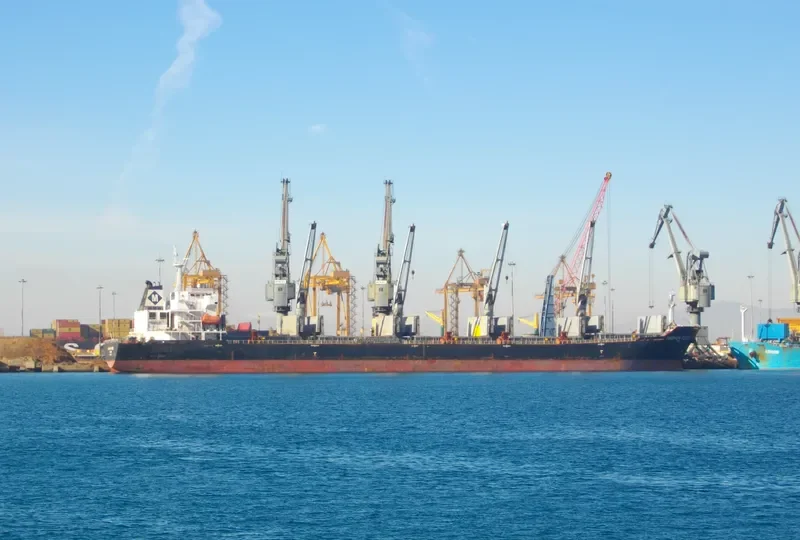 MAGNUM FORCE Bulk Carrier IMO 9488956 photo 4