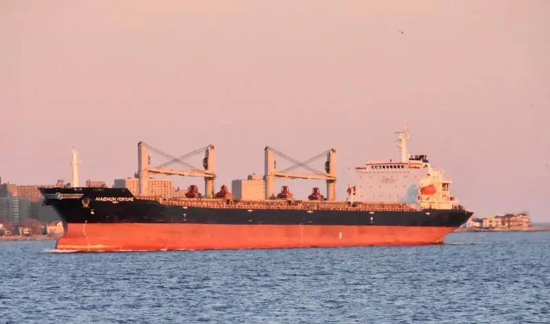 MAGNUM FORTUNE Bulk Carrier IMO 9488970