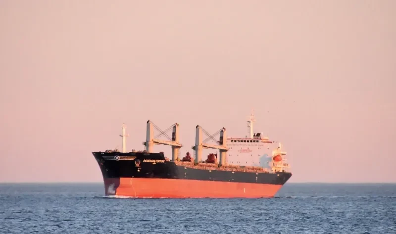MAGNUM FORTUNE Bulk Carrier IMO 9488970 photo 2