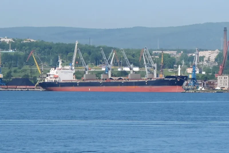 MAGNUM FORTUNE Bulk Carrier IMO 9488970 photo 5