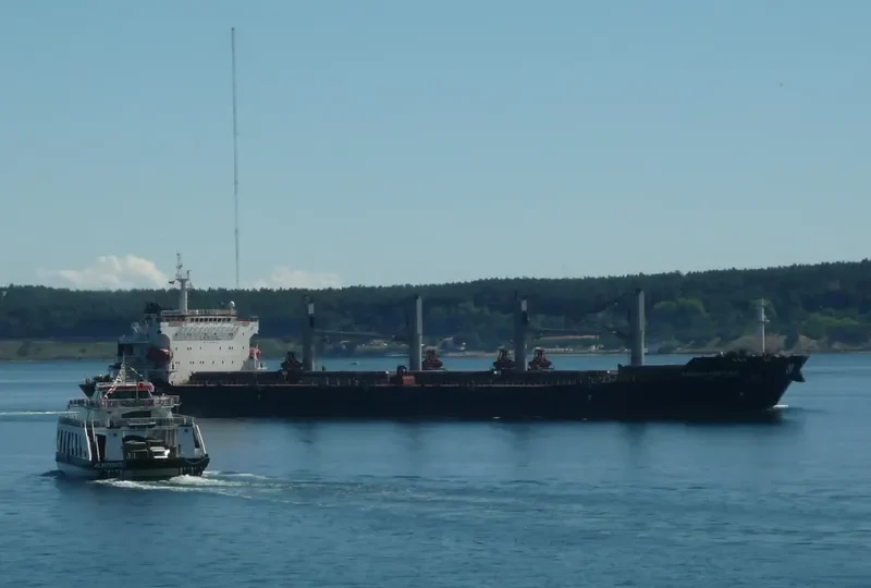 MAGNUM FORTUNE Bulk Carrier IMO 9488970 photo 6