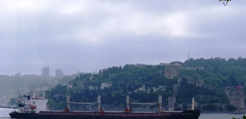 MAGNUM FORTUNE Bulk Carrier IMO 9488970 photo 7