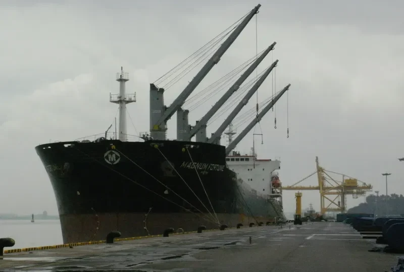 MAGNUM FORTUNE Bulk Carrier IMO 9488970 photo 8