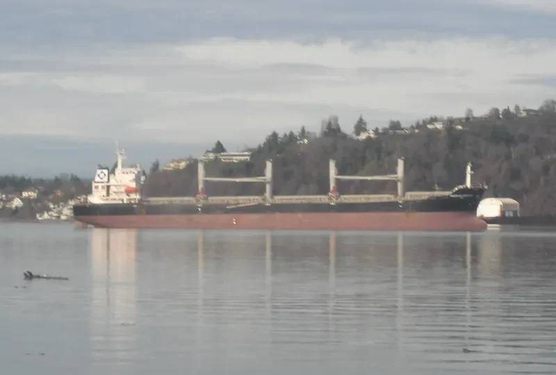 MAGNUM FORTUNE Bulk Carrier IMO 9488970 photo 9